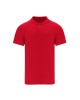 Polo Adulto Color Chaplin