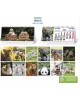 CALENDARIO SOBREMESA "ANIMALES"