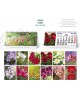 CALENDARIO SOBREMESA "PAISAJES INTERNACIONALES"