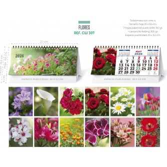 CALENDARIO SOBREMESA "COCHES"