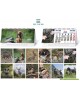 CALENDARIO SOBREMESA "PAISAJES INTERNACIONALES"