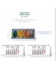 CALENDARIO SOBREMESA "PAISAJES INTERNACIONALES"