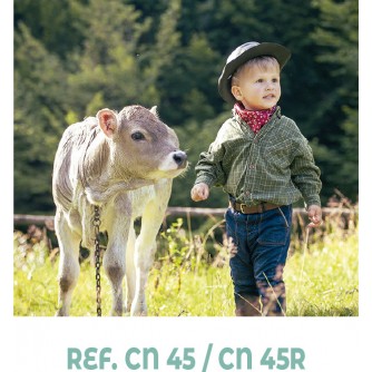 CALENDARIO NEVERA IMAN