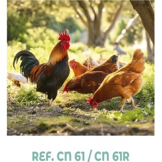CALENDARIO NEVERA IMAN