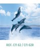 CALENDARIO NEVERA IMAN DELFINES