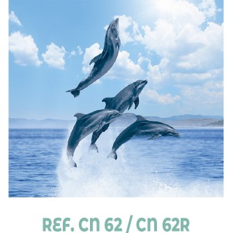 CALENDARIO NEVERA IMAN DELFINES