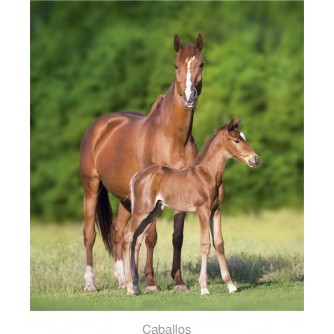 CALENDARIO PARED CABALLO