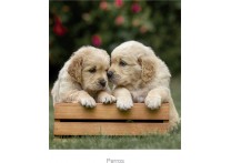CALENDARIO PARED PERRO