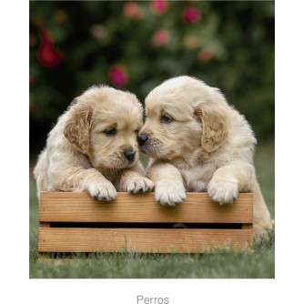CALENDARIO PARED PERRO