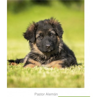 CALENDARIO PARED GALICIA