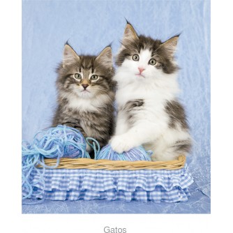 CALENDARIO PARED GATO