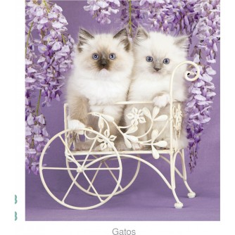 CALENDARIO PARED GATO