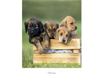 CALENDARIO PARED PERRO