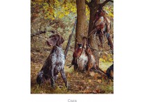 CALENDARIO PARED GALICIA