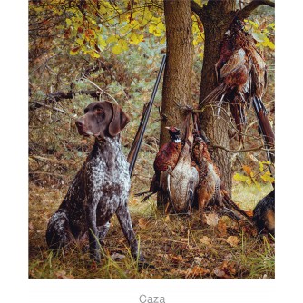 CALENDARIO PARED CAZA