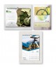 CALENDARIO PARED 3 MESES VISTA.