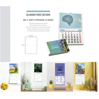 CALENDARIO DE PARED CON GRAPA