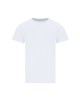 Camiseta Adulto Blanca Stiles