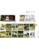 CALENDARIO SOBREMESA "PAISAJES INTERNACIONALES"