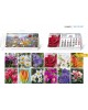 CALENDARIO SOBREMESA "PAISAJES INTERNACIONALES"