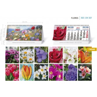 CALENDARIO SOBREMESA "COCHES"
