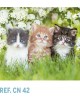 CALENDARIO NEVERA IMAN PERRO Y GATO