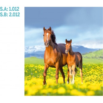 CALENDARIO PARED GALICIA