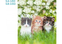 CALENDARIO PARED GATO