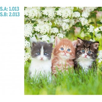 CALENDARIO PARED GALICIA