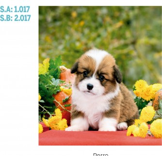 CALENDARIO PARED PERRO