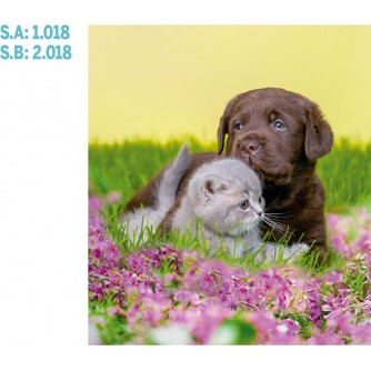 CALENDARIO PARED GALICIA