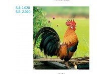 CALENDARIO PARED GALICIA