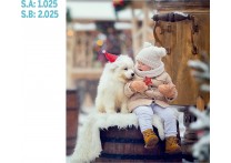 CALENDARIO PARED GALICIA