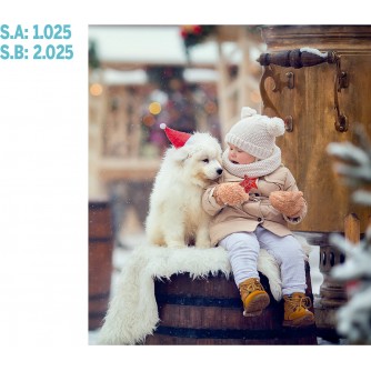 CALENDARIO PARED GALICIA