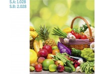 CALENDARIO PARED GALICIA