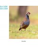 CALENDARIO PARED GALICIA
