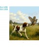 CALENDARIO PARED GALICIA